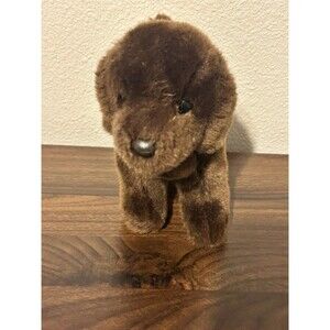 Douglas chocolate lab